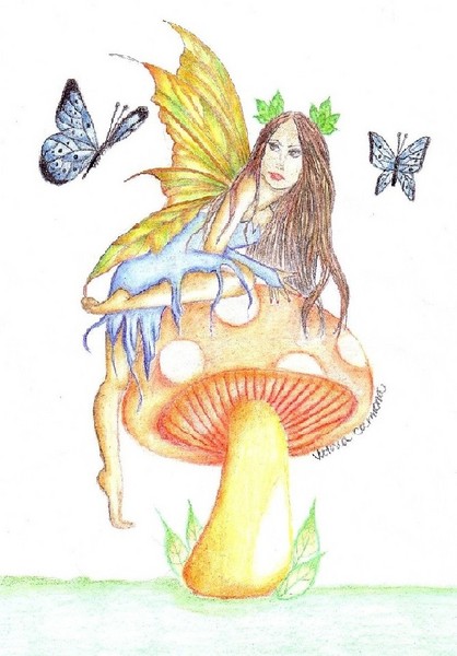 A day with the butterflies