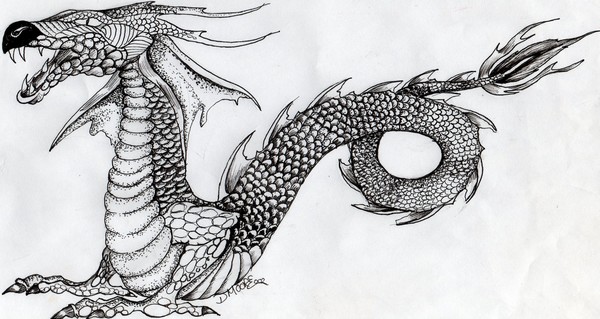 dragon