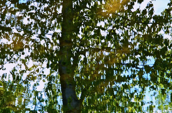Reflection !