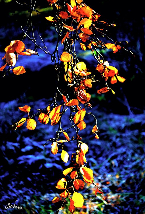  Colors composition !