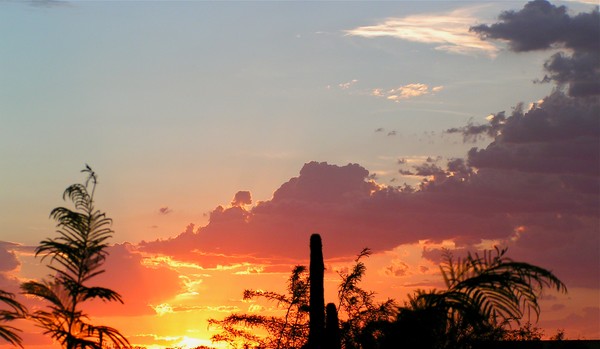 August Sunset 2008