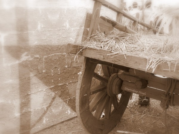 DSCN0180
