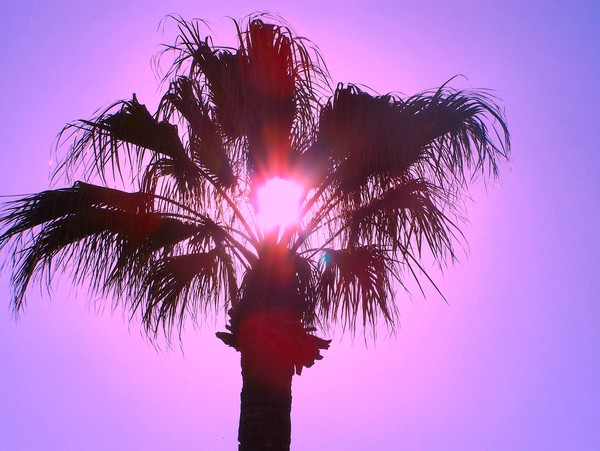 Solar Dreams
