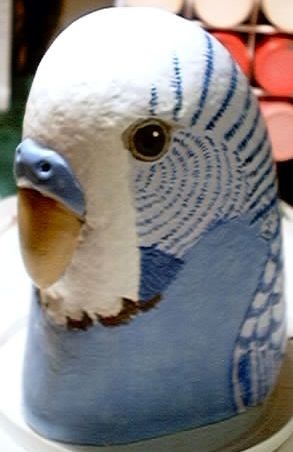 'Parakeet'