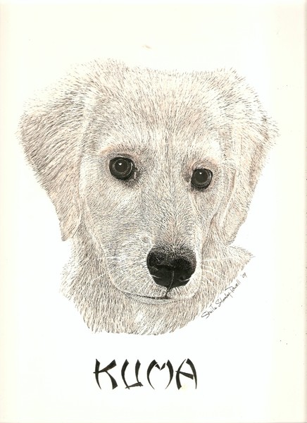 kuma