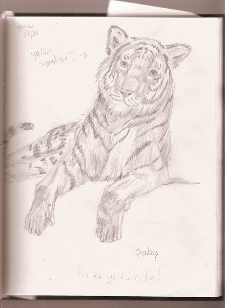 tiger
