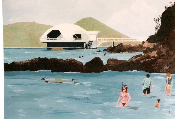 Snorkeling St.Thomas