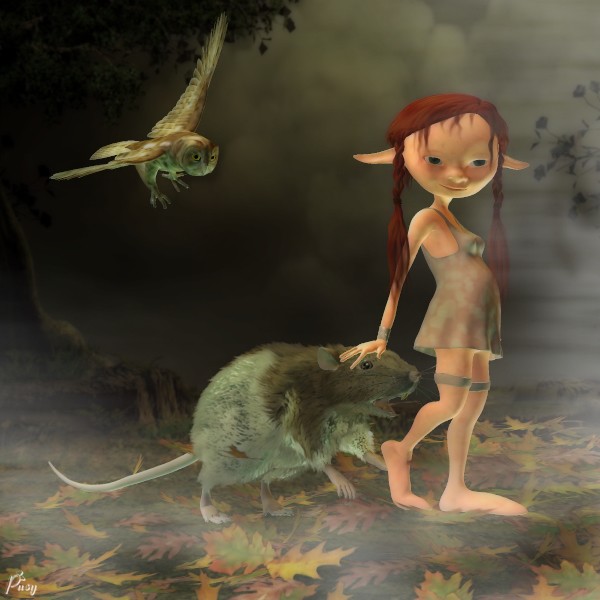 rat
