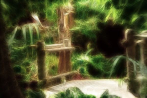 Bridge into the Rainforest