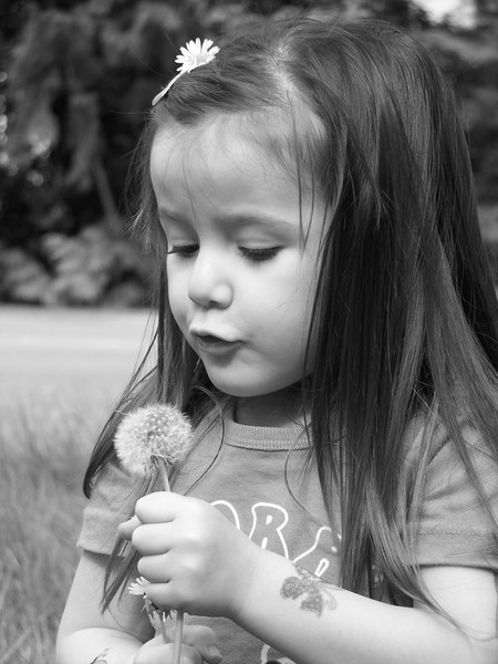 Making a wish