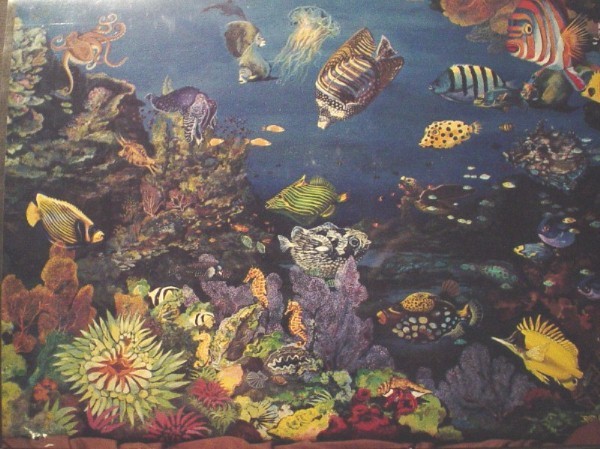 Feeding Frenzy III