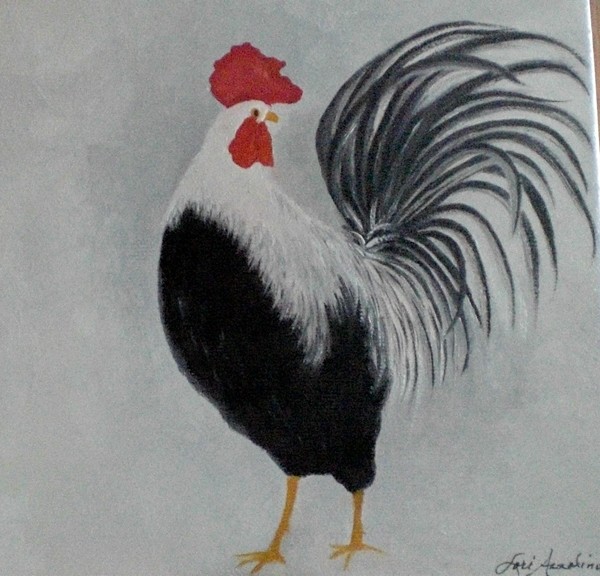 Black & White Rooster