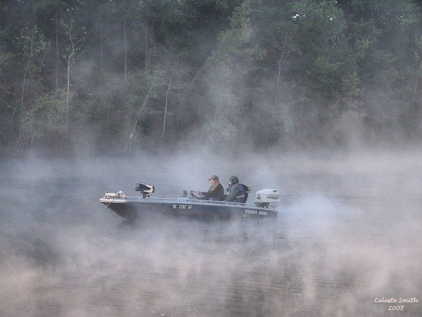 Into The Mist