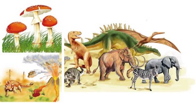 Evolucion