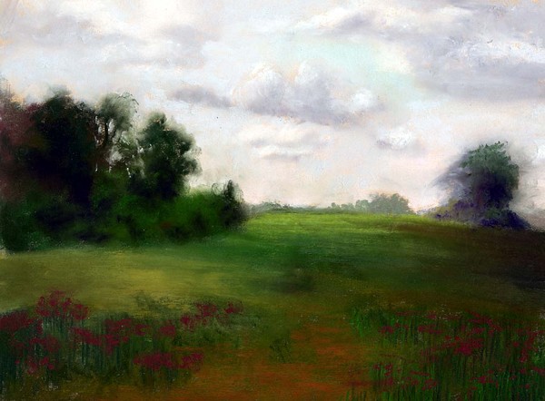 Meadow at Lake Louisa