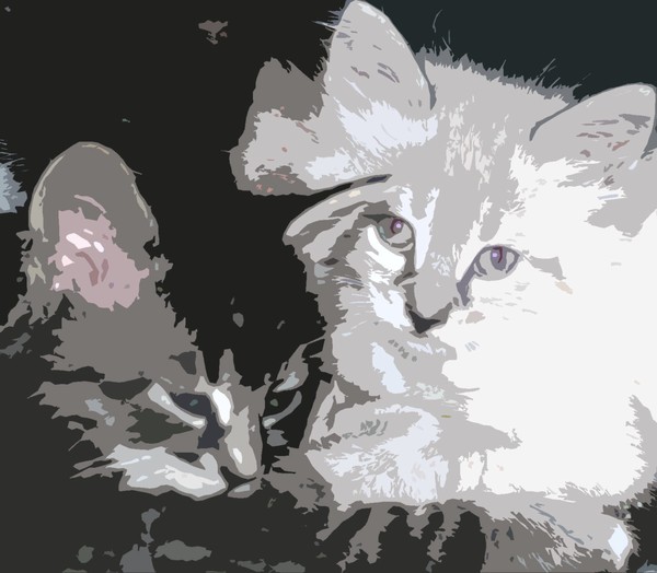 Companions