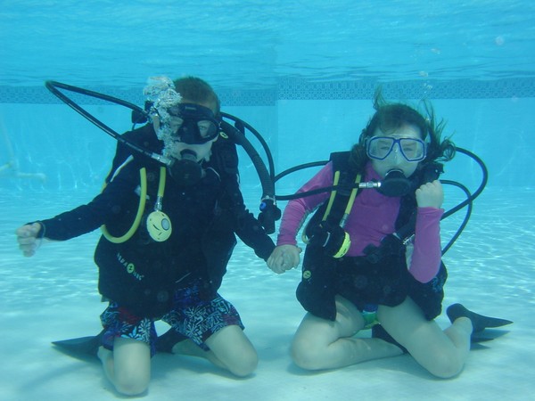 PADI SEALS