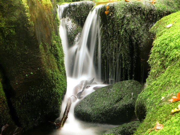 Mossy Falls 2
