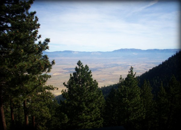 The view in Tahoe