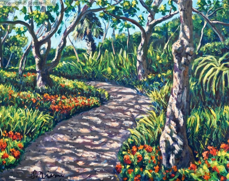 Path at Mounts Botanical