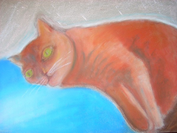 cat nap 2