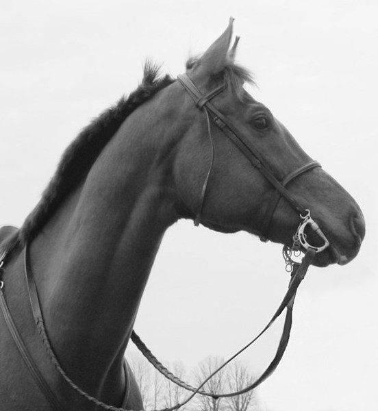 At Attention