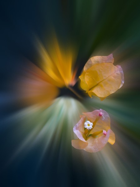 radial