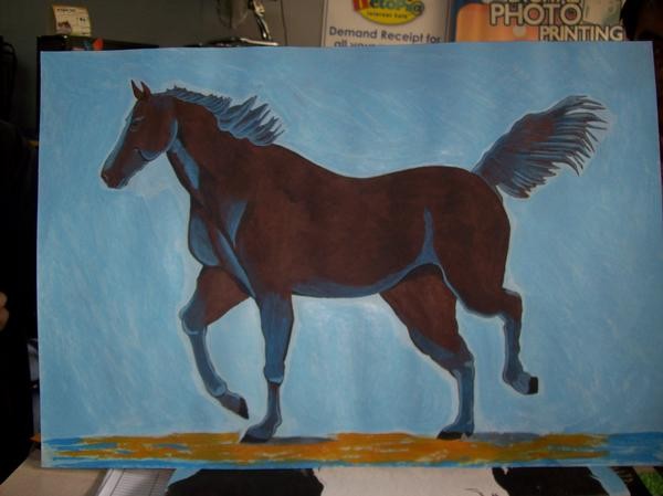Horse study