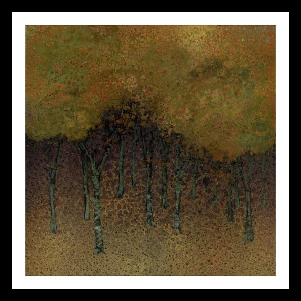 Autumn Forest