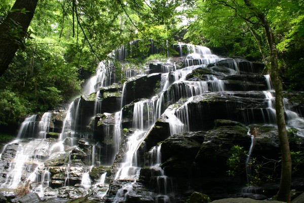 Yellow Branch Falls