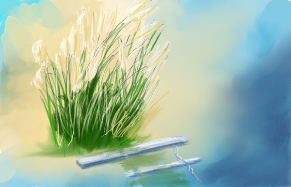 Pampas grass
