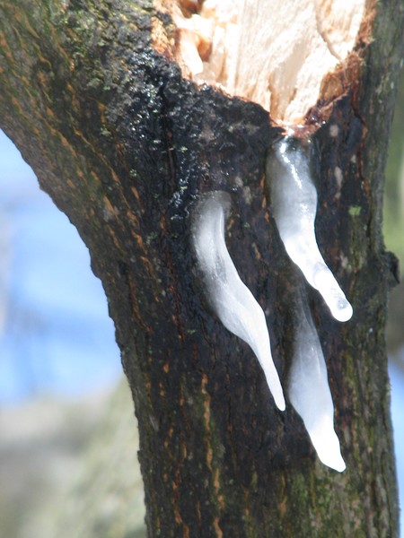 t(h)ree in one go:=)