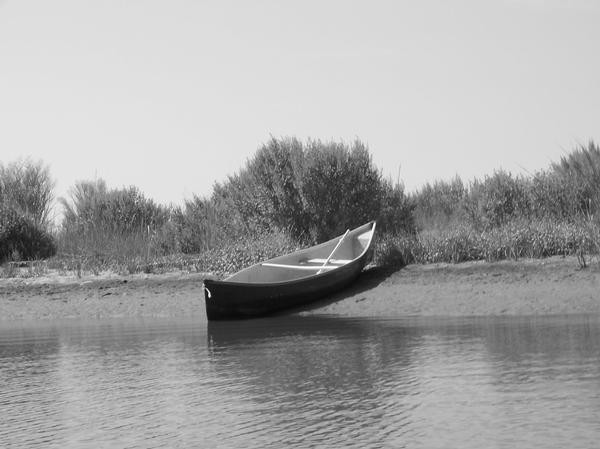 Riverside boat