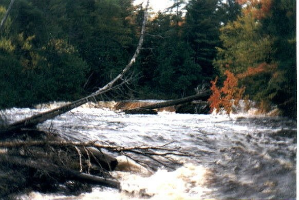 UP Lower falls