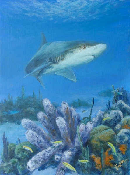 Shark reef