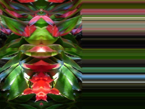Green and red abstract