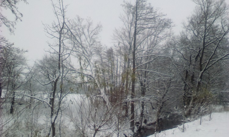 The little river near road nearby my home