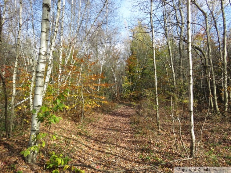 Nature trail