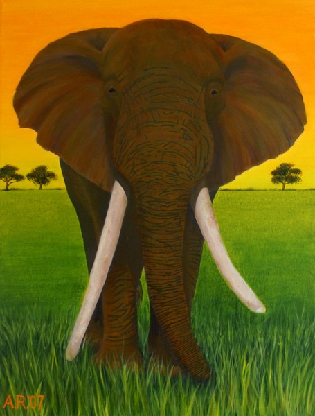 SUNSET ELEPHANT