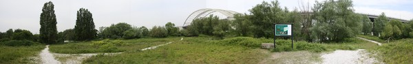 Panorama #9