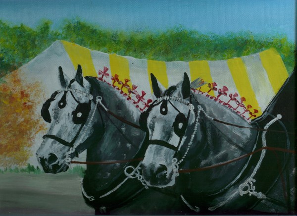 Percherons at Walnut Hill