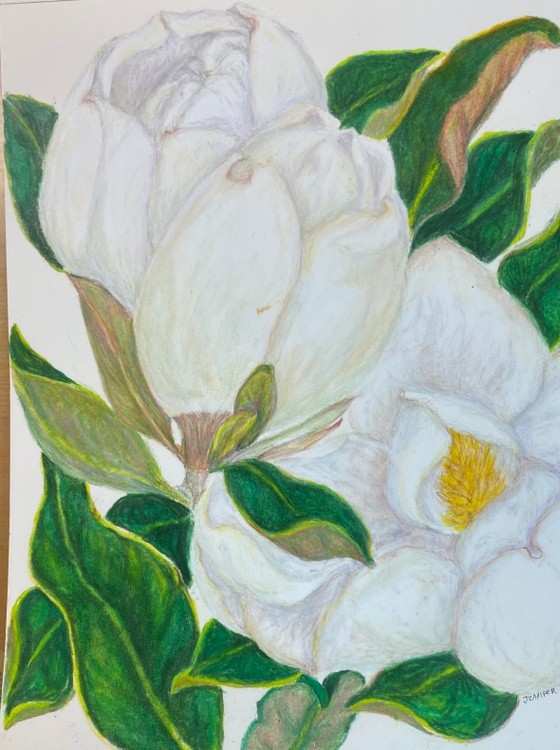 Southern magnolia
