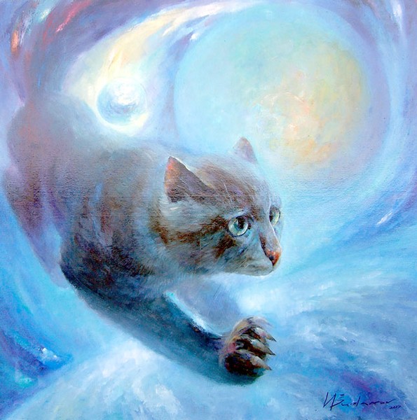 The space cat