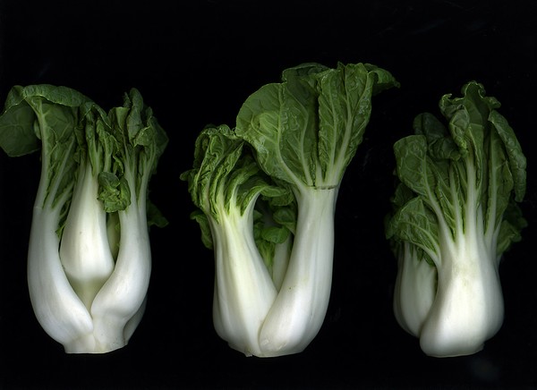 Bok Choy