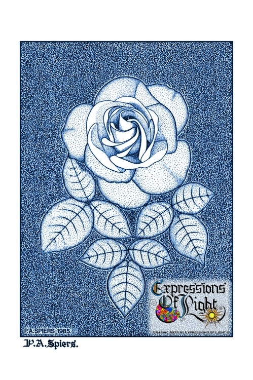 ExpoLight-Graphic-Arts-Rose-1985-0001 (Pen-&-Ink-Blue-Sepia-SP)
