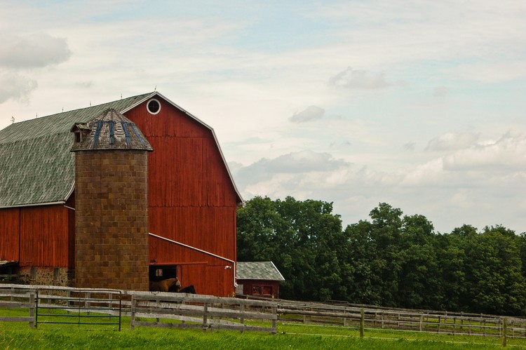 Horse Farm