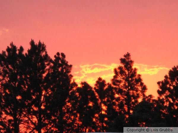 Sunset in Colorado