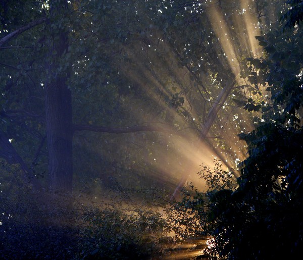 A new Day Rising!