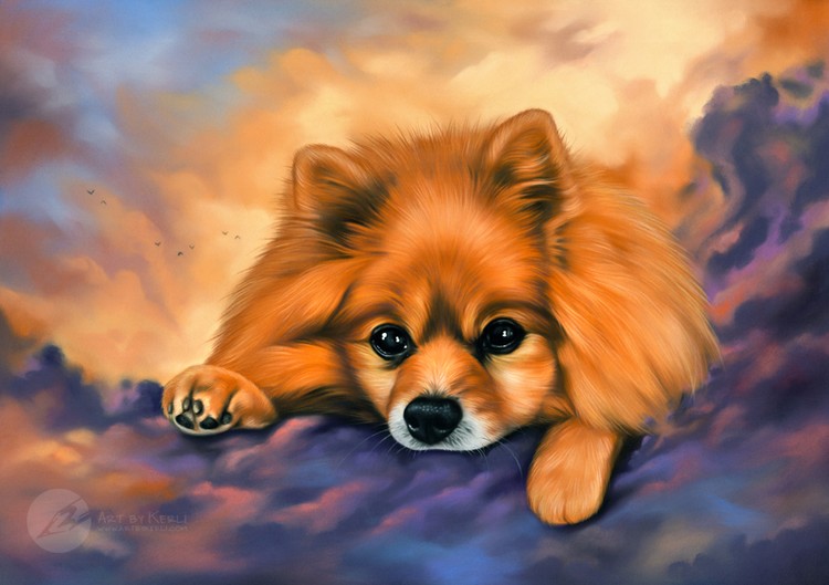 Niki