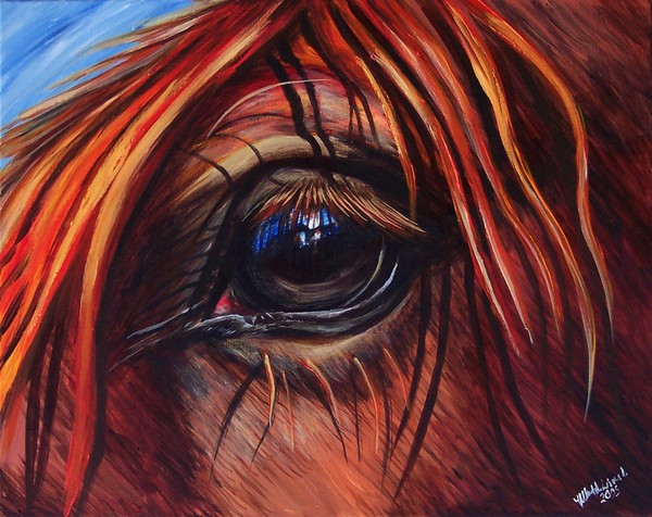 Horse Eye In Red
